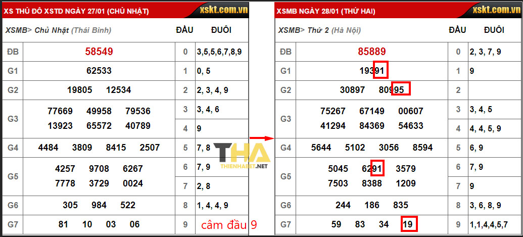 lo-cam-dau-9-hom-sau-danh-con-gi-thien-ha-bet