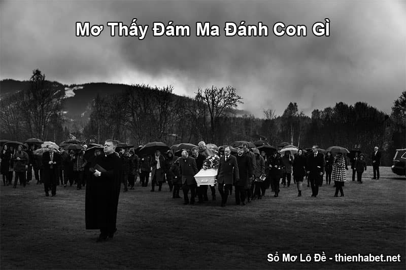 mo-thay-dam-ma-danh-con-gi-2